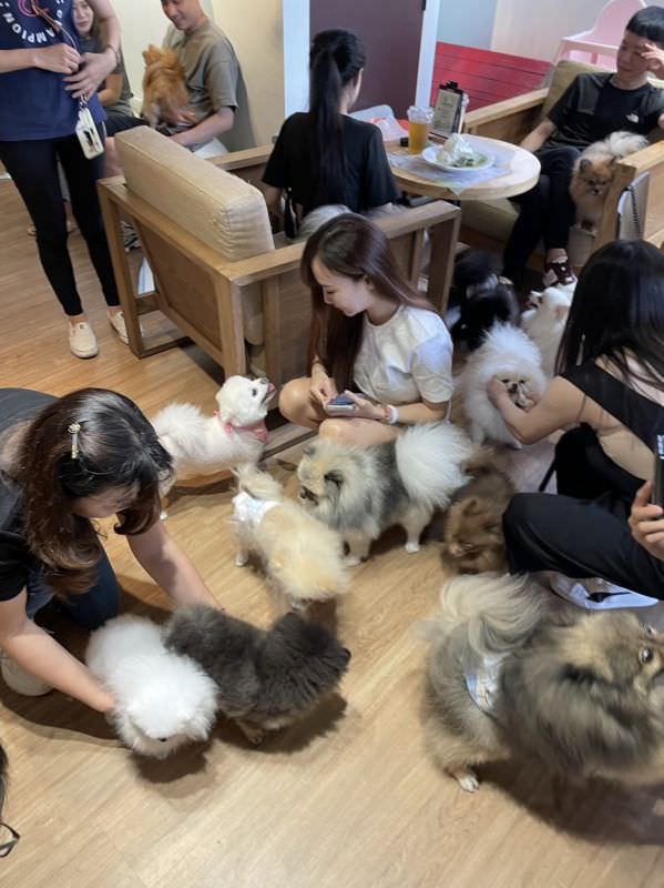 森林小徑精誠店對寵物超友善
